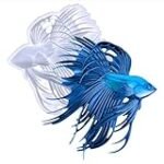 Comparatif des meilleurs moules à statue pour sublimer vos créations culinaires Comparatif des meilleurs moules à statue pour sublimer vos créations culinaires