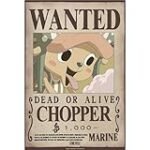 Analyse et comparaison des meilleurs produits alimentaires : Quel est l'âge de Chopper dans One Piece ?