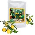 Comparaison des meilleurs produits alimentaires à base de citron asiatique : lequel choisir ?