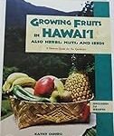 Les meilleurs fruits Hawaii : une comparaison pour des choix alimentaires de qualité