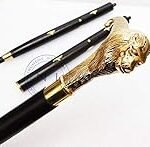 Le régime du lion style : Analyse et comparaison des meilleurs produits alimentaires pour une alimentation équilibrée